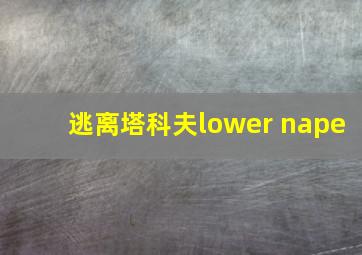 逃离塔科夫lower nape